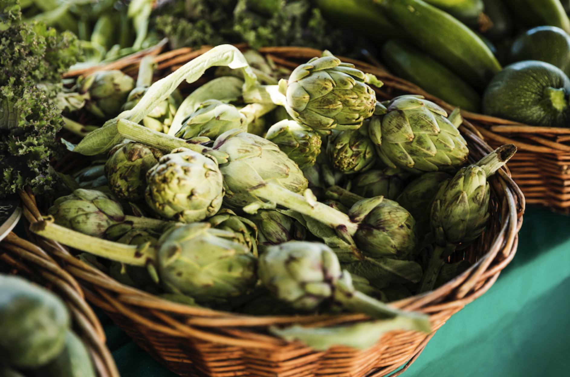 Artichoke